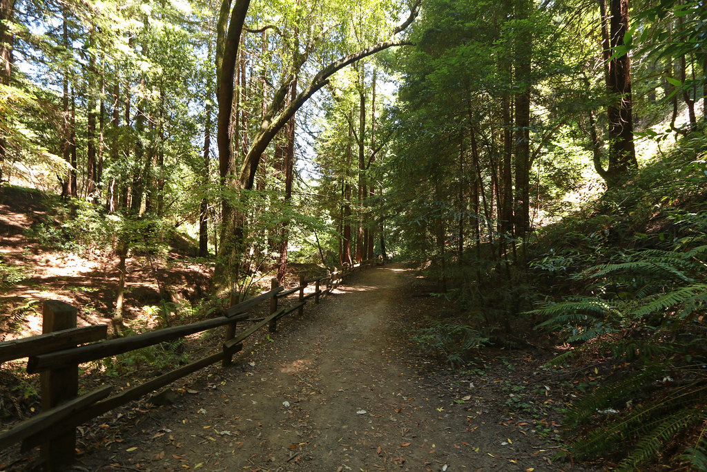 Reinhardt Redwood Regional Park