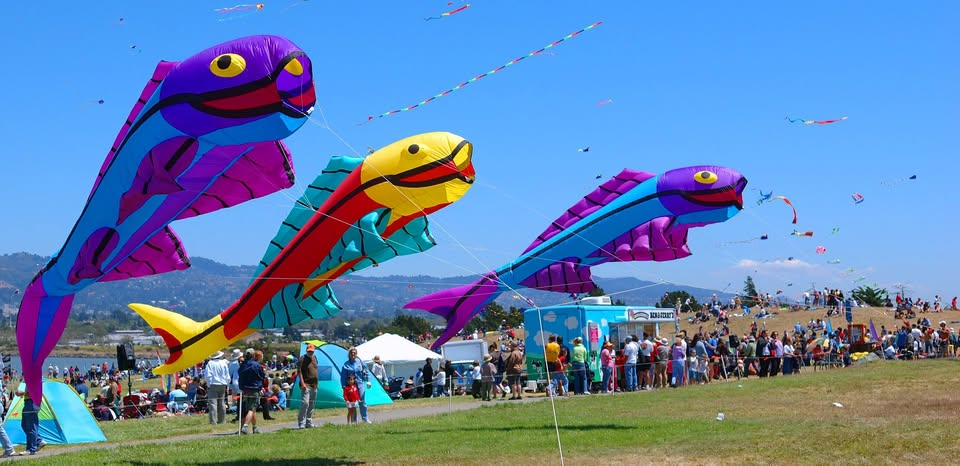 Berkeley Kite Festival