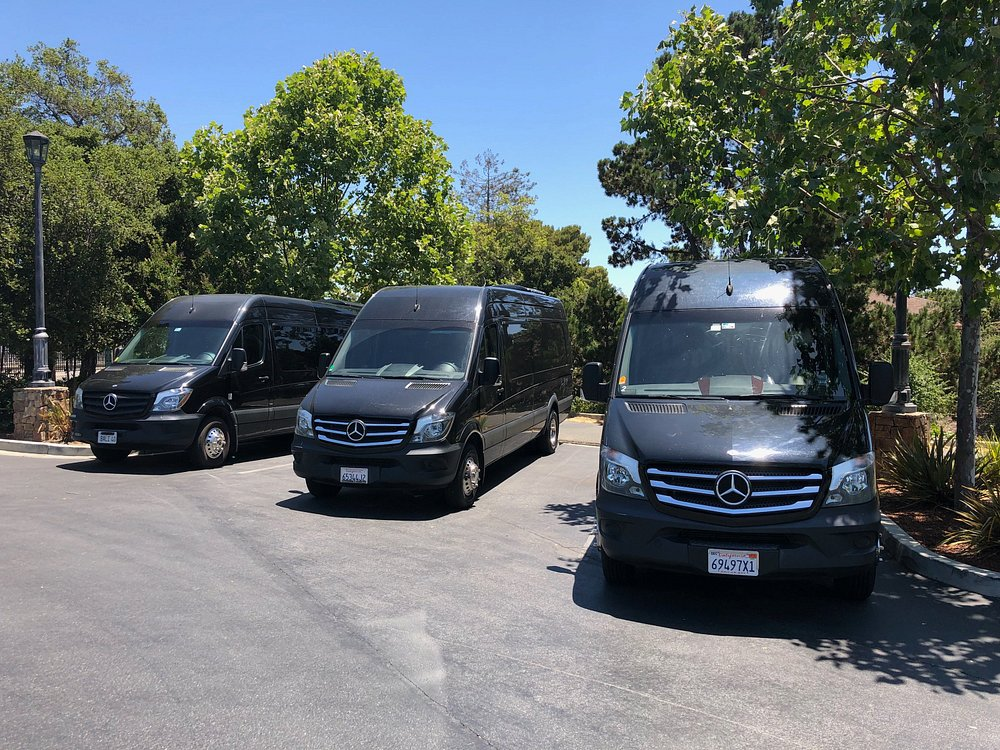 A row of black luxury SUVs and sedans from Limo SF VIP's fleet parked outside.