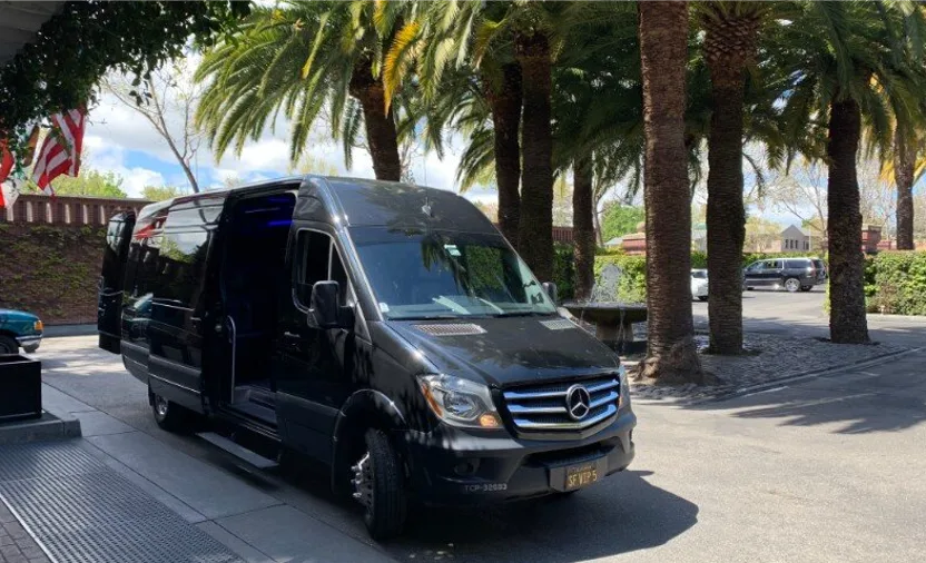 Black executive Mercedes Sprinter van parked under palm trees
