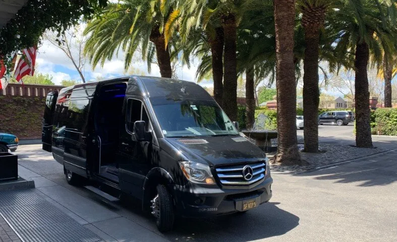 Black executive Mercedes Sprinter van parked under palm trees