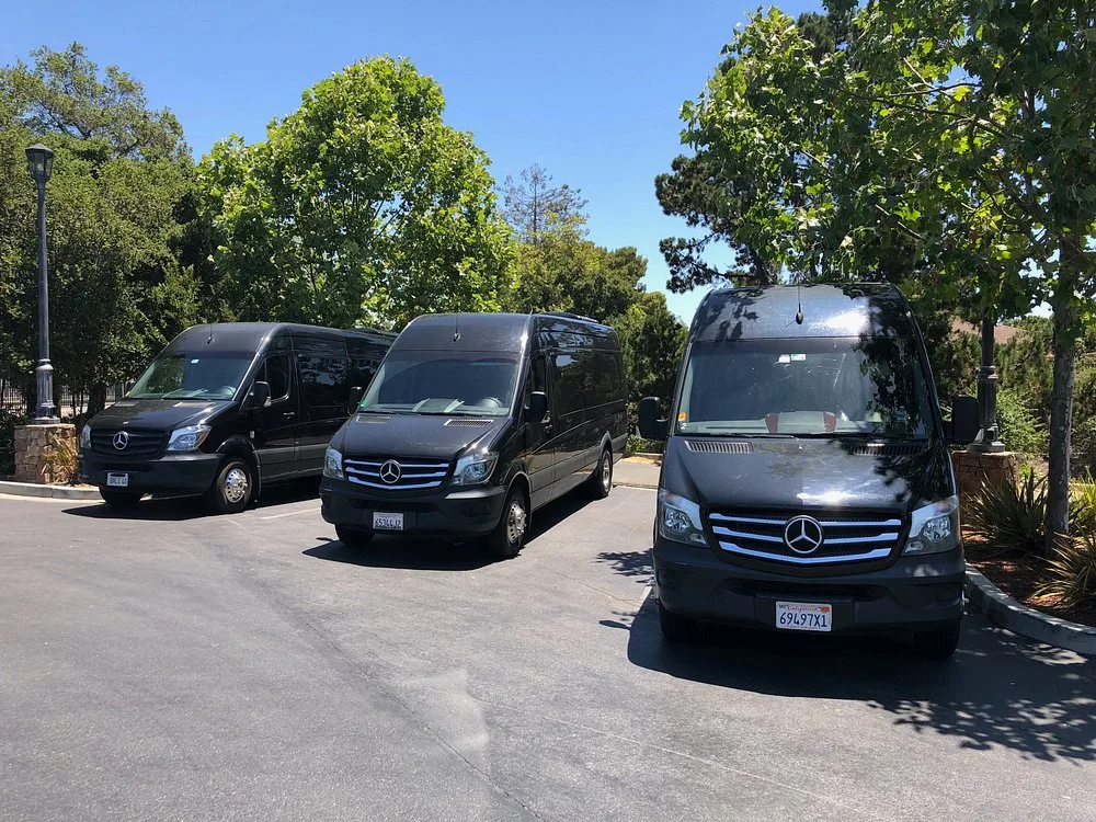 A row of black luxury SUVs and sedans from Limo SF VIP's fleet parked outside.