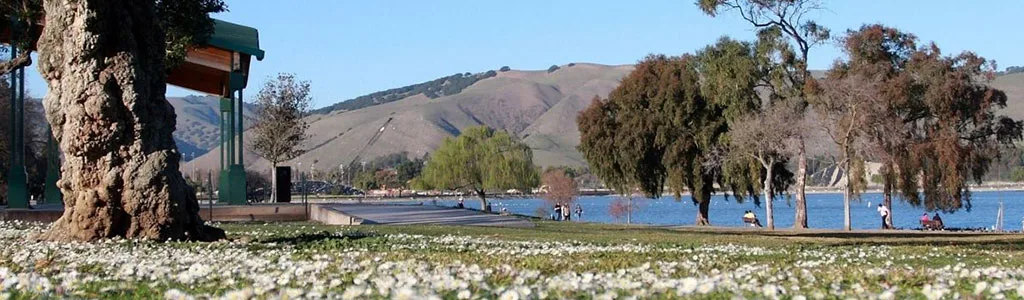 View of Fremont, California.