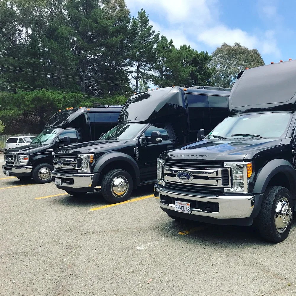 Black Ford shuttle buses lined up in a parking lot