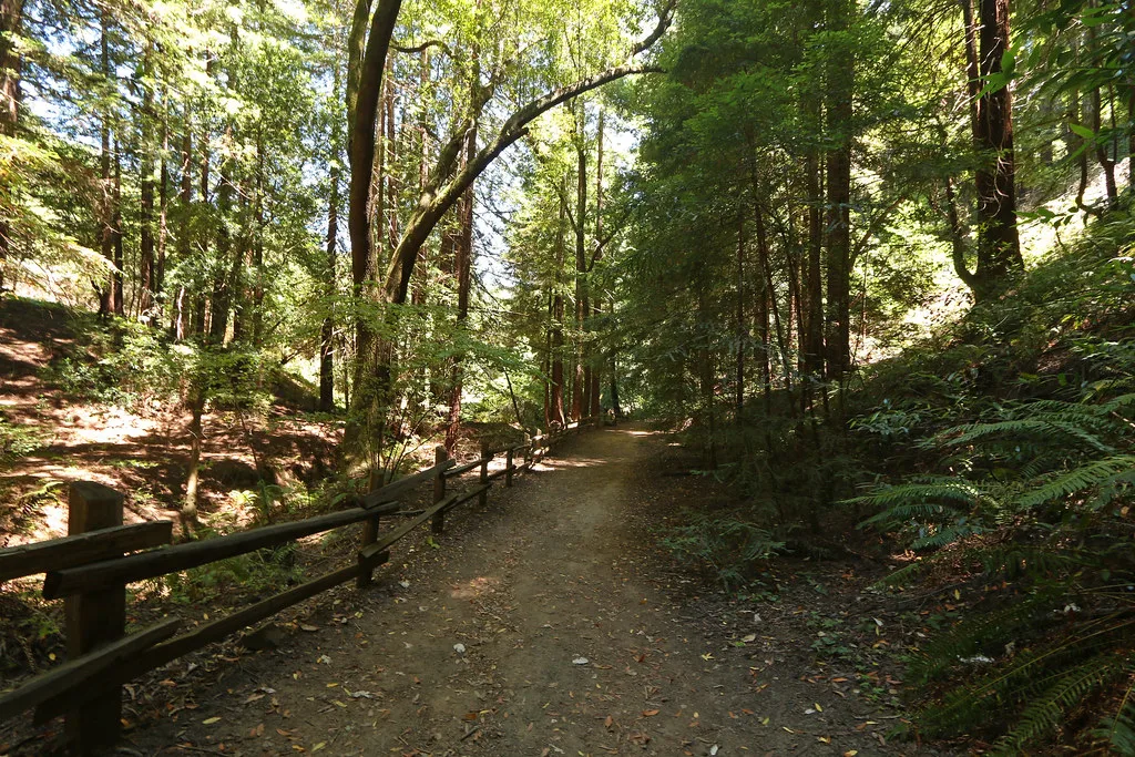 Reinhardt Redwood Regional Park